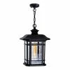 Flash Sale ❤️ CWI Lighting Blackburn 1-Light Farmhouse Metal Light Outdoor Pendant In Black 🔥