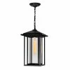 Outlet ⌛ CWI Lighting Crawford 1-light Farmhouse Metal Outdoor Hanging Light In Black 🛒