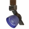 Top 10 🌟 Benzara 12W Integrated Metal And Polycarbonate LED Track Fixture In Bronze And Blue 🌟